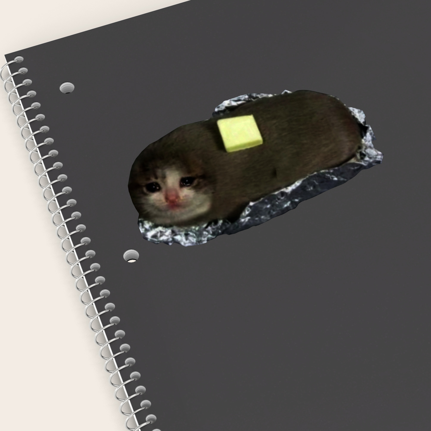 sad potato cat with butter