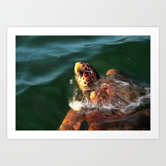 Loggerhead Turtle Art Print