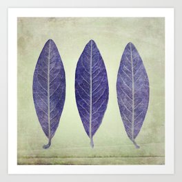 Three leaves - violet on celadon Art Print
