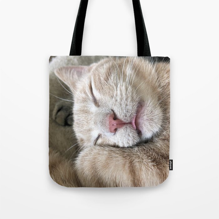 Soft Fluffy Kitty Tote Bag