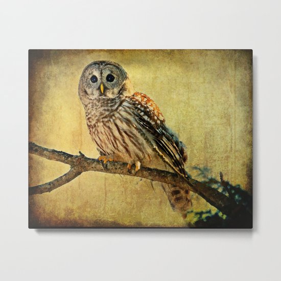 Solitude Stands While Wisdom Draws Near Metal Print