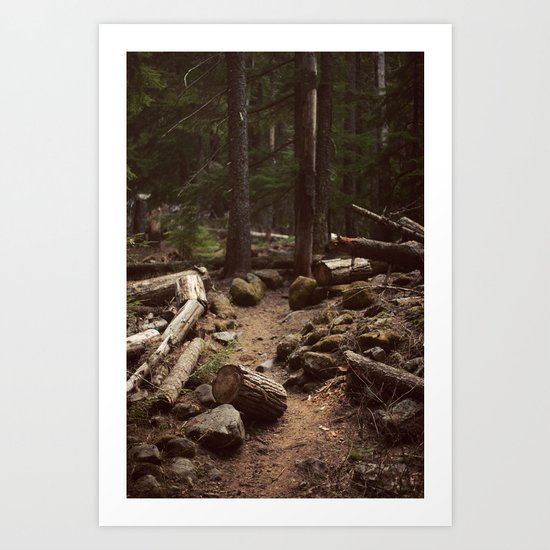 Forest Trail Art Print