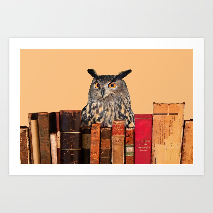 Old Books and Owl Art Print