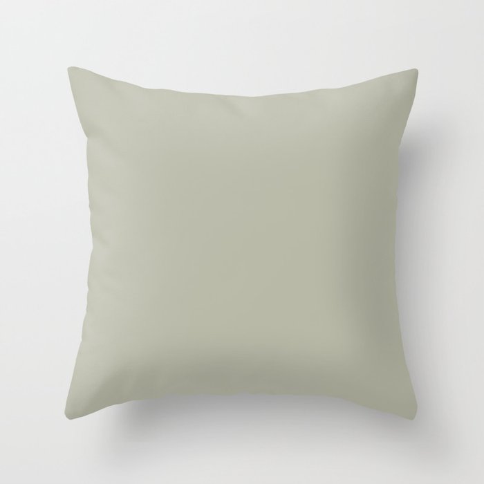 Pale green throw pillows 2025