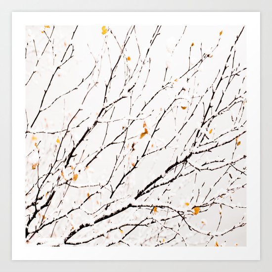 Snowy birch twigs and leaves Art Print