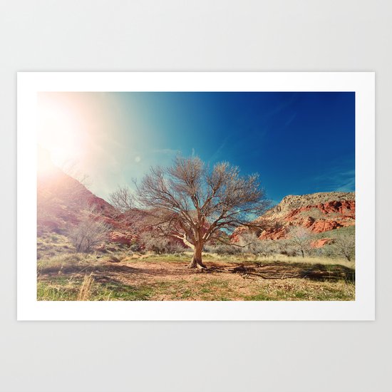 Sun desert tree Art Print