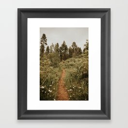 Wildflower Pathway to the Forest Framed Art Print