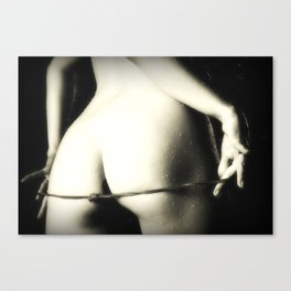 Wet and Enticing Canvas Print