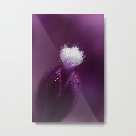 Pretty in Purple Metal Print
