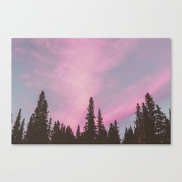 cotton candy lies Canvas Print