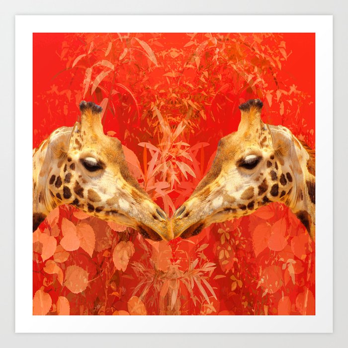 Face To Face Beautiful Giraffes Love Is In The Air Decor