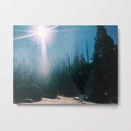 Among the trees. Metal Print | Trail, Misttrail, Hike, Color, Photo, Trees, Hiking, Yosemite, Sunbeam, Sunlight 