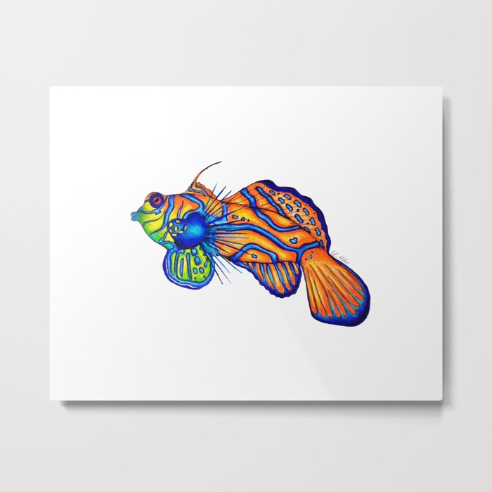 Orange Fish Metal Print