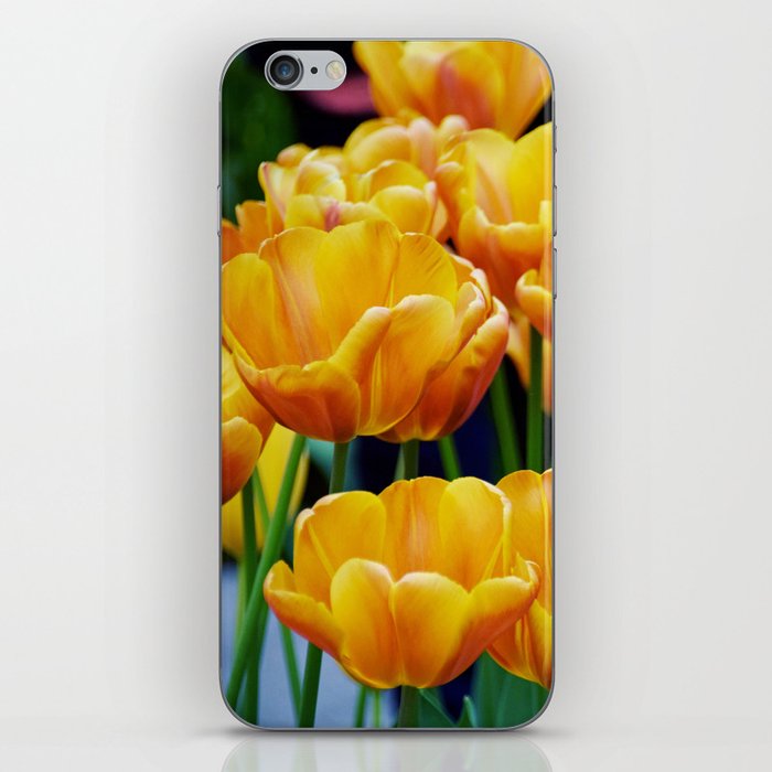 Yellow Orange Tulips iPhone Skin