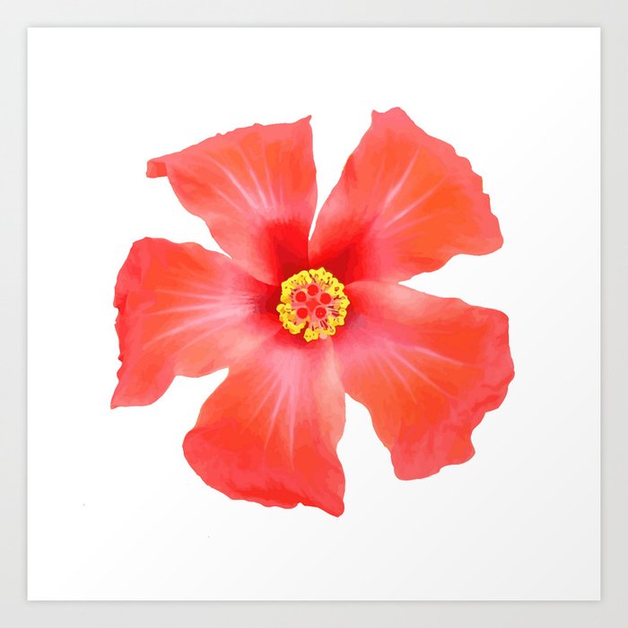 Tropical Hibiscus Flower Vector Art Print