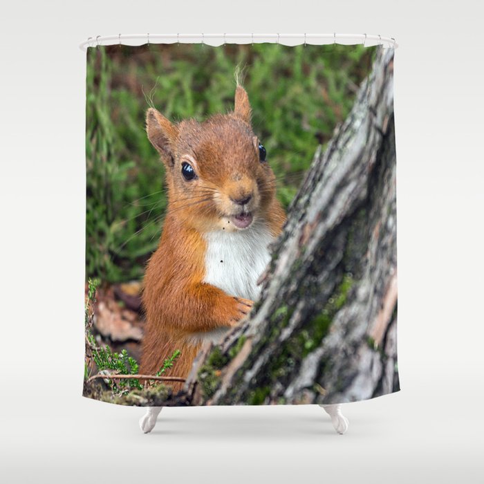 Nature Woodland Animals Smiling Squirrel Shower Curtain By