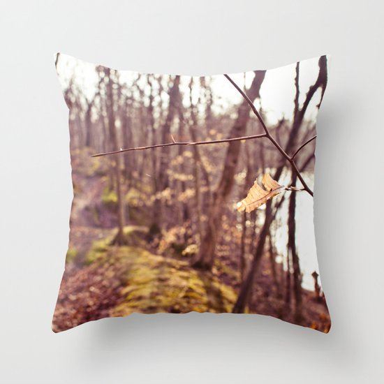 A Walk in the Woods Throw Pillow