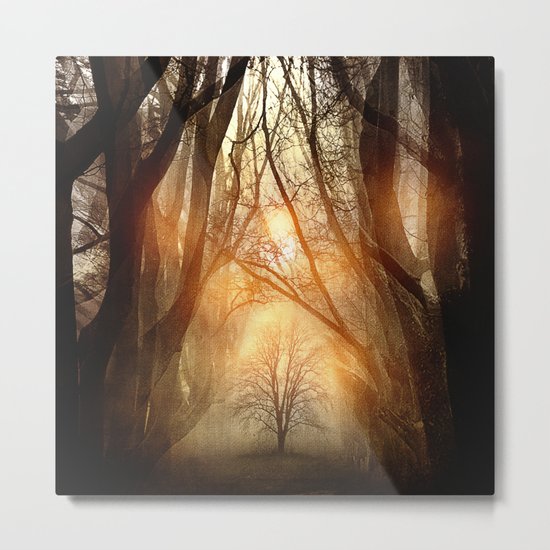 Searching Dreams Lost Metal Print