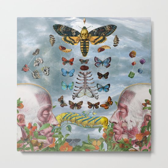 Chrysalis Metal Print
