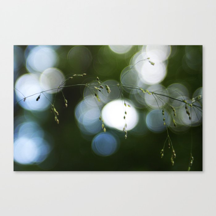 Grass can be pretty too Canvas Print