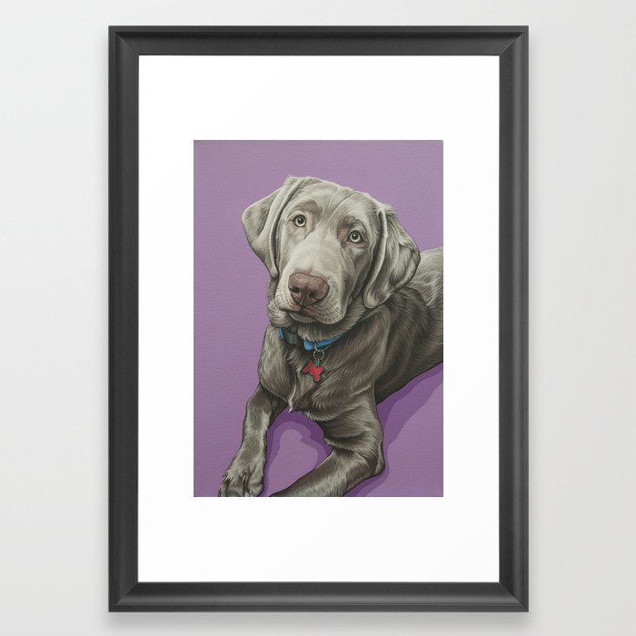 Sweet Silver Labrador Painting, Labrador, Silver Lab Art Framed Art Print