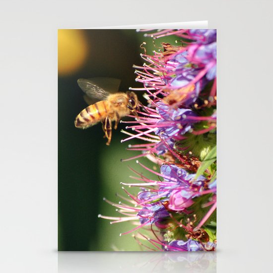 Bee Stationery Cards