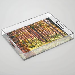 Pnw Forest | Nature Photography in Oregon Acrylic Tray