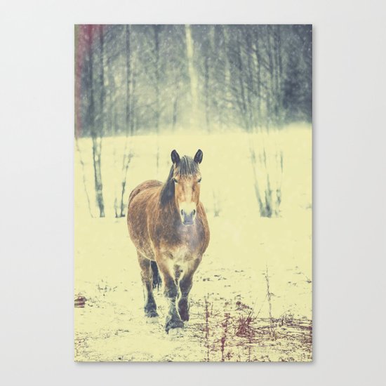 Wandering beauty Canvas Print