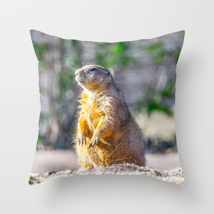 Marmot pillow on sale