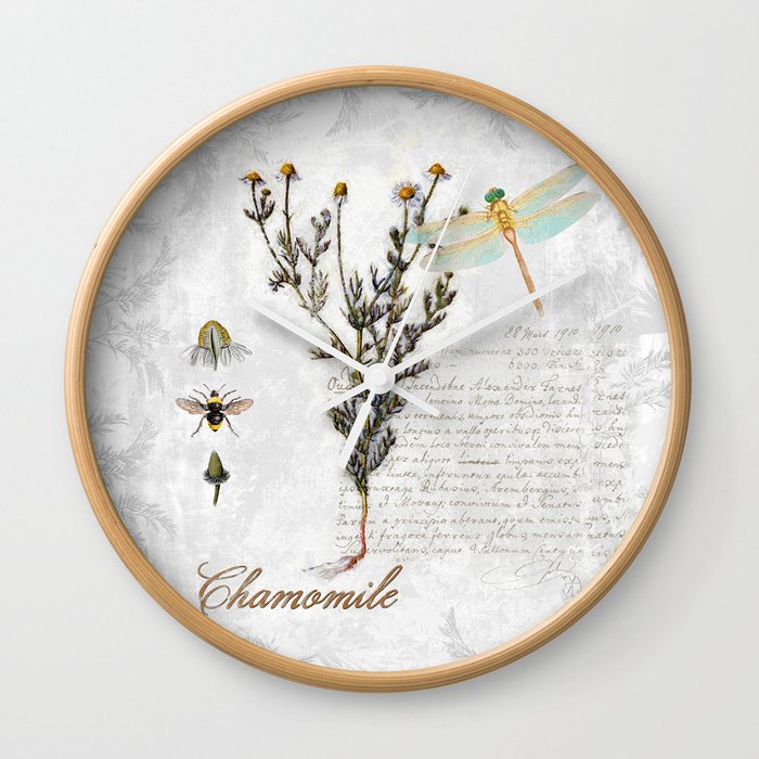Chamomile Herb, Dragonfly Bumble Bee Botanical painting, Cottage style Wall Clock