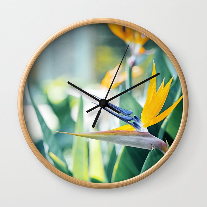 Bird of Paradise Photography, Green Orange Aqua Blue, Tropical Flower Nature Botanical Wall Clock