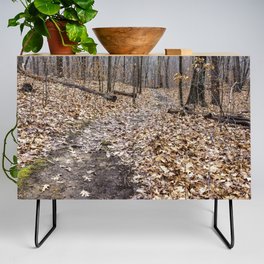 into the winter woods Credenza