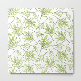 Tea tree leaves seamless pattern. Hand drawn vintage illustration of Melaleuca. Green medicinal plant isolated on white background.  Metal Print