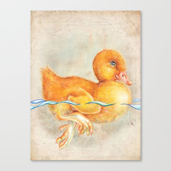 Duckling Canvas Print