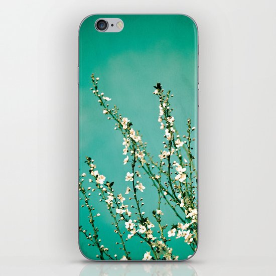 Reach iPhone & iPod Skin