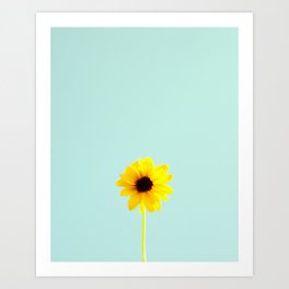 Sunflower Minimalist Photography Art Print