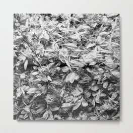 gray floral fairy bed Metal Print