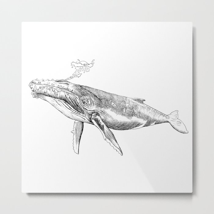 Humpback Whale with Bubbles Metal Print