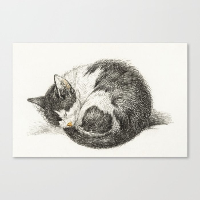 Rolled up lying sleeping cat (1825) by Jean Bernard  Canvas Print