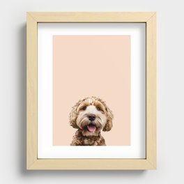Happy Goldendoodle on Pastel Pink Background Recessed Framed Print