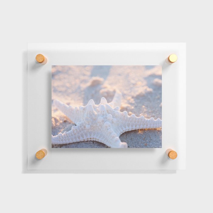 Knobby Starfish in the Sand Floating Acrylic Print