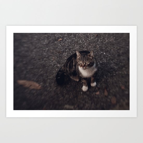 Cat Art Print