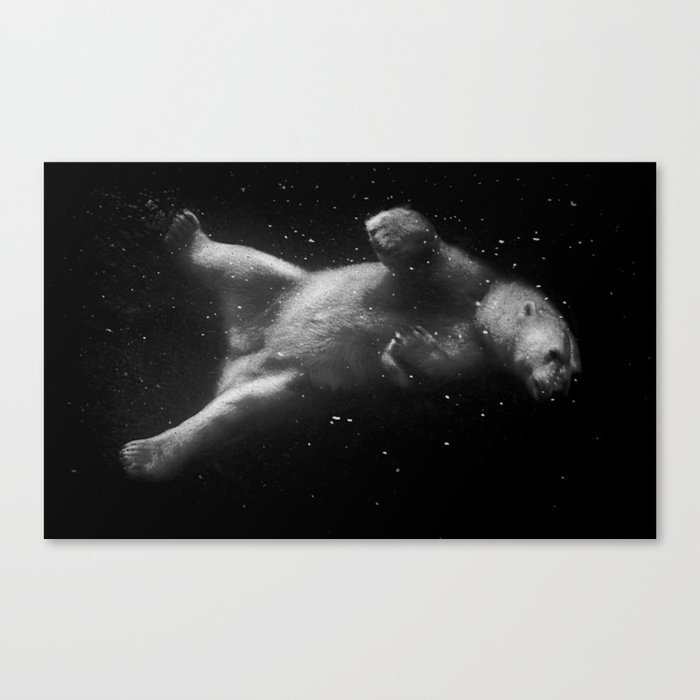 Polar Bear Dream Canvas Print