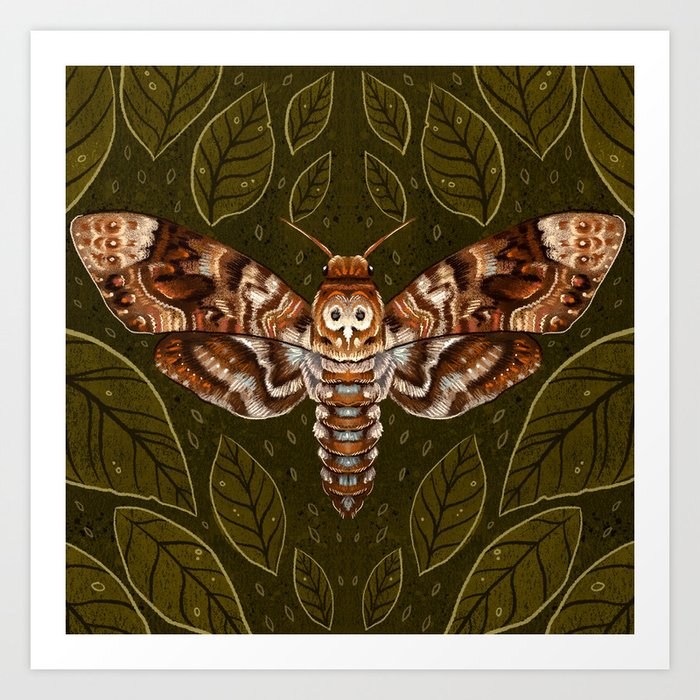 Deaths-Head Moth Art Print