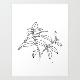 Branch (Black and White)  Art Print