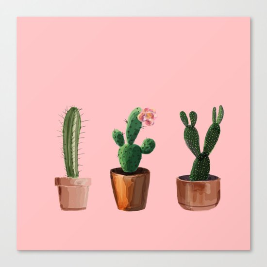 Three Cacti On Pink Background Canvas Print
