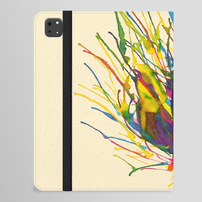 Colorful Peacock iPad Folio Case