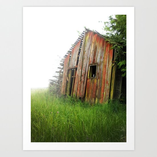 Red Shed Art Print