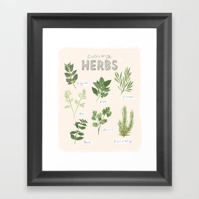 Culinary Herbs Framed Art Print