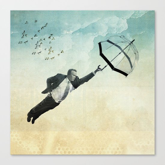 flying high Canvas Print